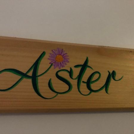 Aster Residence Laureane 1Er Etage Cauterets Exterior foto