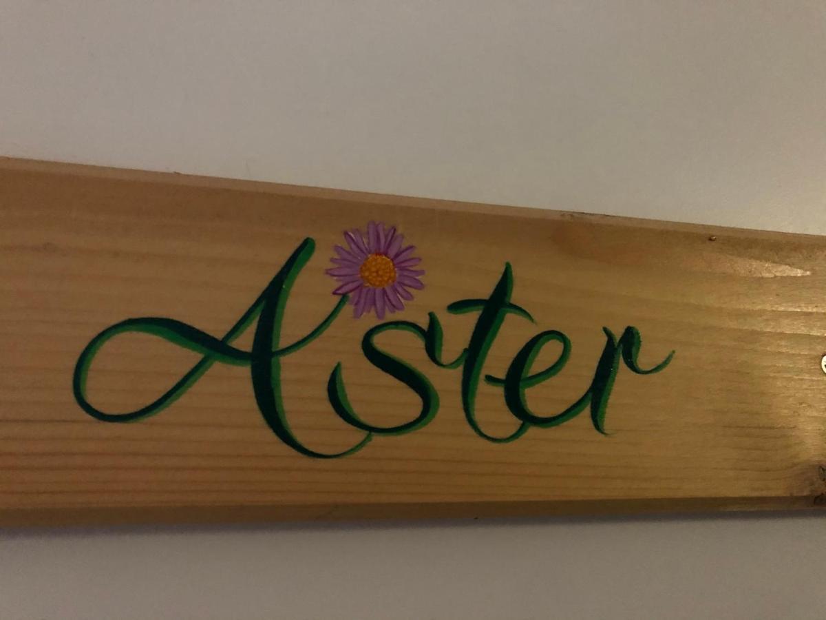 Aster Residence Laureane 1Er Etage Cauterets Exterior foto